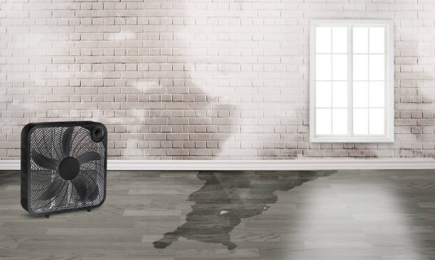 Best Water damage repair service  in Berea, KY