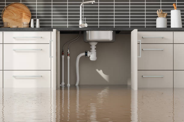 Best Ceiling water damage repair  in Berea, KY