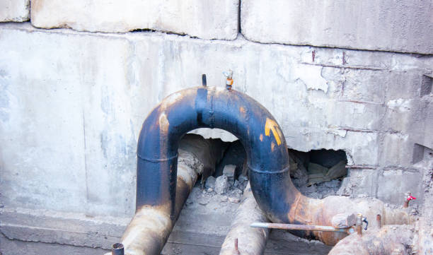 Best Flood restoration services  in Berea, KY